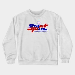 Defunct Penn-Jersey Spirit APSL Soccer 1991 Crewneck Sweatshirt